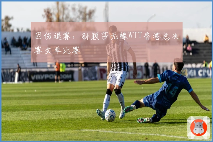 因伤退赛，孙颖莎无缘WTT香港总决赛女单比赛